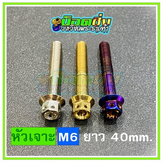 น็อตสแตนเลส หัวเจาะดอกไม้ ขนาดเกลียว m6 ยาว 40 mm.