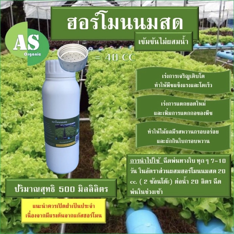 ฮอร์โมนนมสด บรรจุ 500 มิลลิลิตร ช่วยให้ผักมีรสชาติหวาน กรอบ อร่อยยิ่งขึ้น