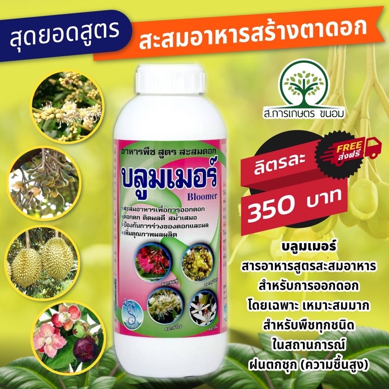 บลูมเมอร์ สูตรสะสมอาหาร 1 ลิตร