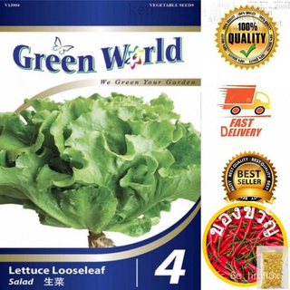 เมล็ดพันธุ์ผักสลัดเบนิเอชซายูร์ (Lettuce Looseleaf)NO.4เมล็ด seeds seeds seeds SSRZ