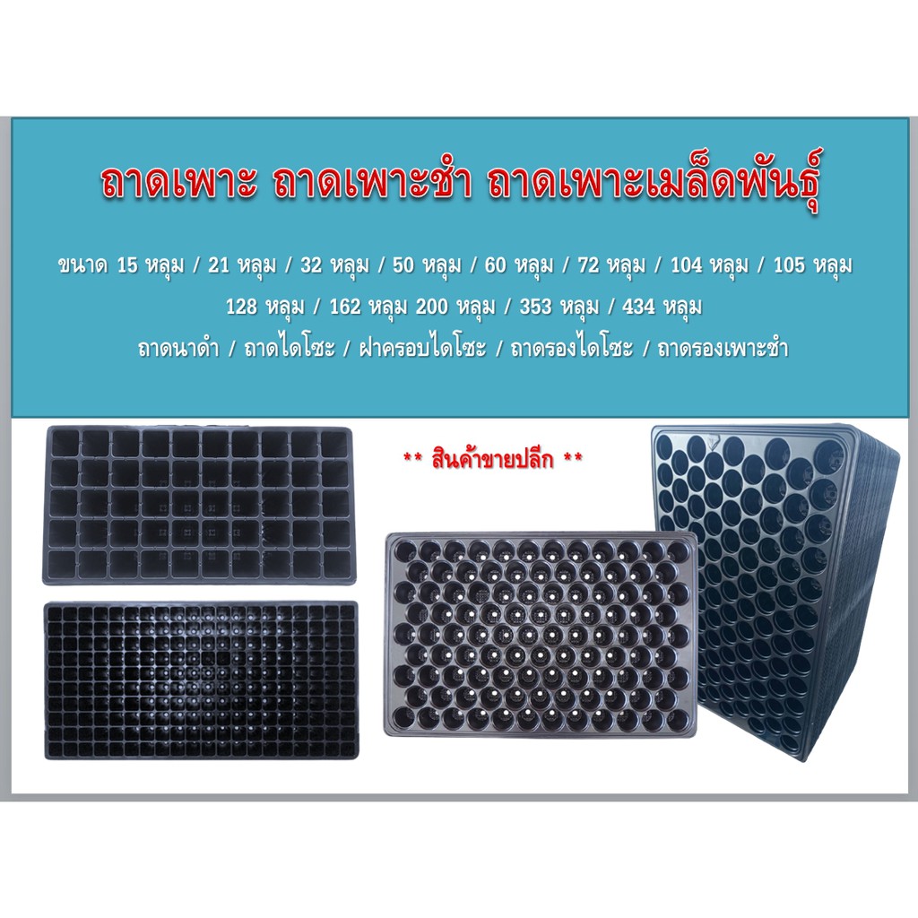 ถาดเพาะเมล็ดพันธุ์ (ขายปลีก) ถาดเพาะ104หลุม 105หลุม 128หลุม 162หลุม 200หลุม