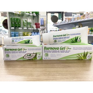 Burnova Gel Plus 25g /70g เบอโนว่าเจล เจลว่านหางจระเข้ ลดรอยดำสิว ผิวไหม้