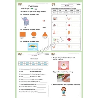 ใบงาน Science ป.1 EP/MEP/ MSEP | ครบ 2 เทอม พิมพ์สีทั้งเล่ม พร้อมสรุป+เฉลย