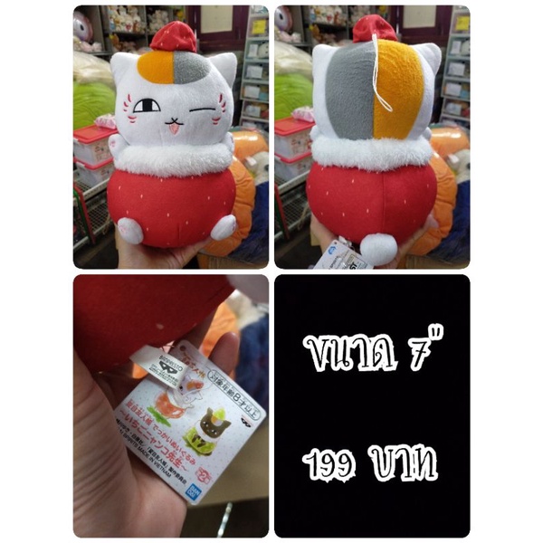 Nyanko Sensei#เนียนโกะเซนเซย์#เนียนโกะ#แมว#ตุ๊กตาญี่ปุ่นมือสอง