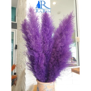 Rarin ดอกเลาฟูสวย (สีฟ้าม่วง5ก้าน) ขนาด 40-50 cm. เป็นดอกไม้ธรรมชาติ  ดอกฟุ้งฟิ้ง ใช้ประดับห้อง ร้าน งานแต่ง