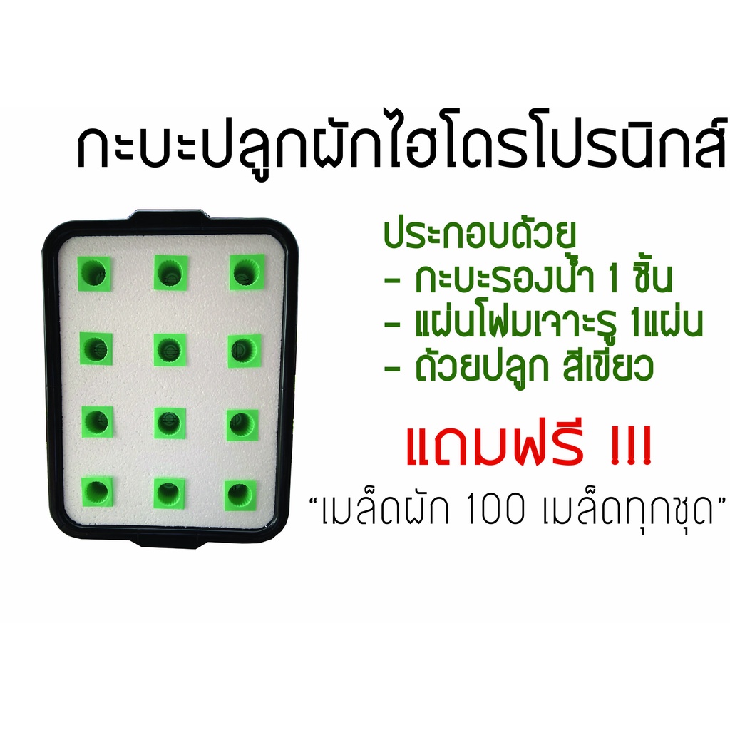 My Image 103