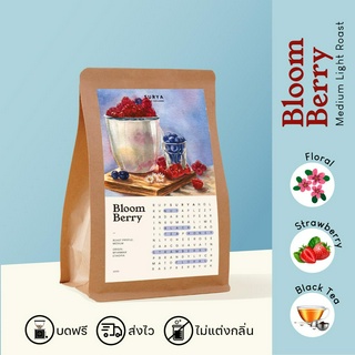 SURYA Coffee Explorers เมล็ดกาแฟกลิ่นเบอร์รี่คั่วกลาง BLOOMBERRY