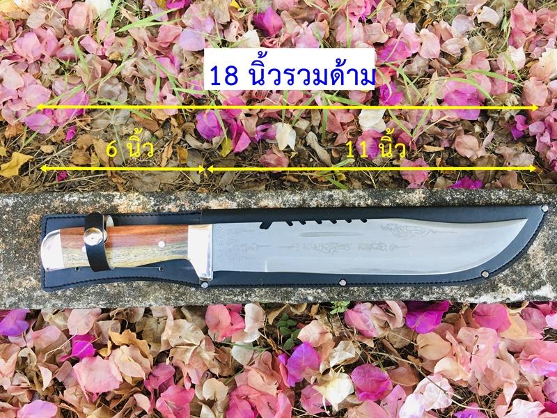 มีดเดินป่าแกะลายขนาด 11 นิ้ว (18 นิ้วรวมด้าม) มีด มีดเดินป่า มีด มีดทำครัว มีดอรัญญิก - รูปที่ 3