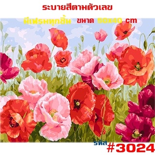 ภาพระบายสีตามตัวเลข มีเฟรมไม้ให้ 40x50cmพร้อมส่ง รูปวาด ระบายสี ภาพชุด DIY ภาพวาดระบายสี ภาพระบายสีตามตัวเลข kkrit999