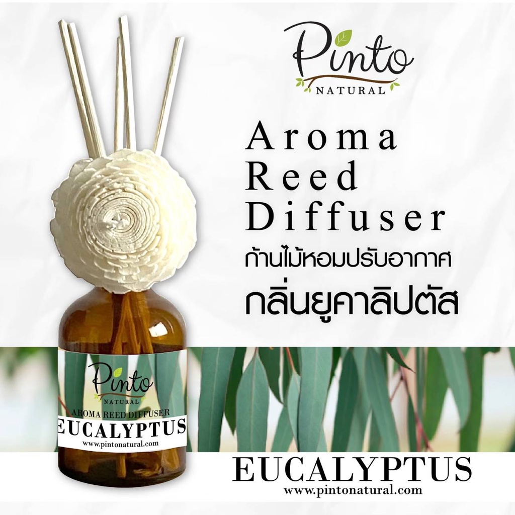 Pinto Natural Reed Diffuser Eucalyptus ก้านไม้หอมปรับอากาศ กลิ่นยูคาลิปตัส ขนาด 50ml. และ 100ml.