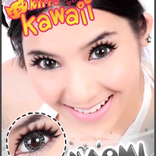 Naomi Gray / Naomi Brown / Forset Gray  แบรนด์ Kitty Kawaii คอนแทคเลนส์ บิ๊กอาย Contact Lens Bigeyes สายตาปกติ แฟชั่น