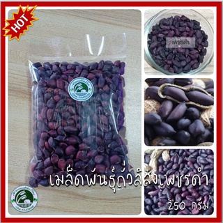 250 กรัม เมล็ดพันธุ์ถั่วลิสงเพชรดำ ถั่วลิสงดำ (black peanuts) ถั่วลิสง ถั่วเพชรดำ เมล็ดถั่วลิสงเพชรดำ