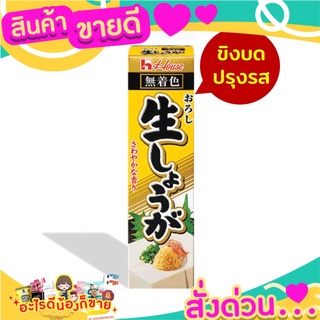 🌞ฺBest🌞 เฮ้าส์ ขิงบดปรุงรส โอโรชิ นามะ โชกะ 40 กรัม House Oroshi Nama Shoga 40 g. ส่งด่วน🥫🧂🍫