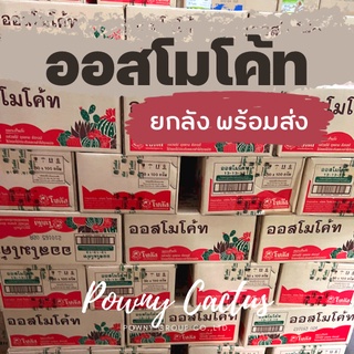 ออสโมโค้ท สูตรบำรุงต้น 13-13-13 ยกลัง 100 กรัม  50 ซอง พร้อมส่ง ออสโมโค้ด