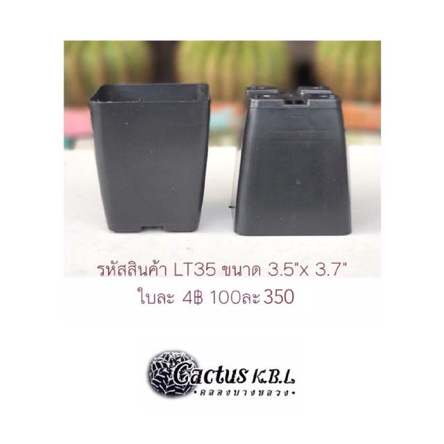 LT35 กระถางต้นไม้แคคตัส ขนาด 3.5 x 3.7 นิ้ว 100 ใบ