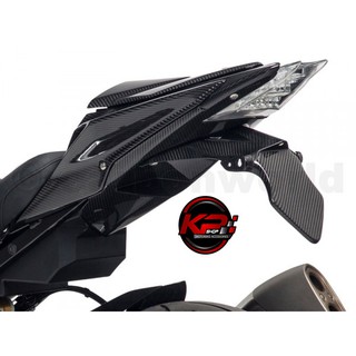 UNDERTAIL CARBON WORLD S1000RR 2015-2019