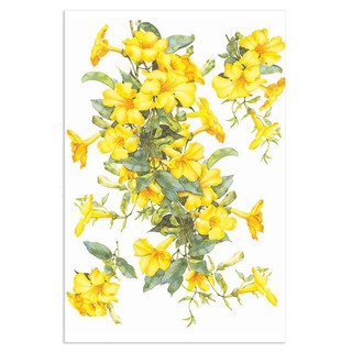 sticker DIY WALL DECAL HOME LIVING STYLE YELLOW FLOWE 34X47CM Stickers Wallpapers Home &amp; Furniture สติ๊กเกอร์ สติ๊กเกอร์