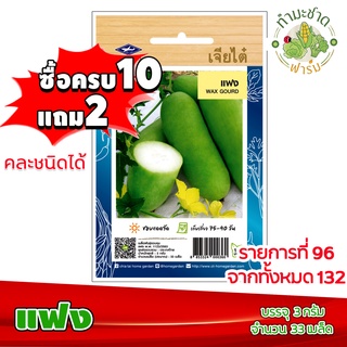 (ซื้อ10แถม2) เมล็ดพันธุ์ แฟง Wax gourd ประมาณ 33เมล็ด เจียไต๋ เมล็ดพันธุ์พืช เมล็ดพันธุ์ผัก เมล็ดผัก เม็ดผัก ผักสวนครัว