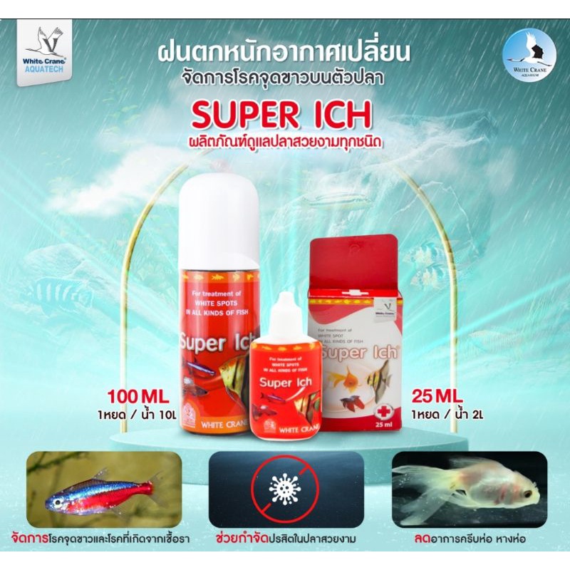 Super Ich ผลิตภัณฑ์สำหรับป้องกันและรักษาโรคจุดขาว เชื้อรา ครีบห่อ 100 ml.