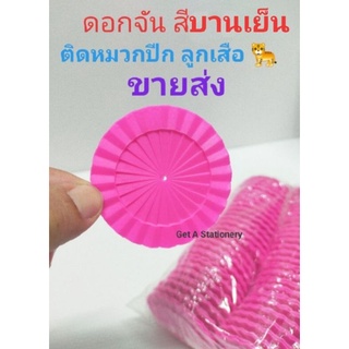 [ขายส่ง 20 อัน] ดอกจัน สีบานเย็น ติดหมวกลูกเสือ