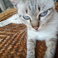 Profile NoName