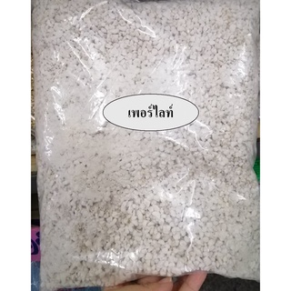 เพอร์ไลท์(Perlite) วัสดุปลูกสำหรับต้นไม้ คุณภาพสูง