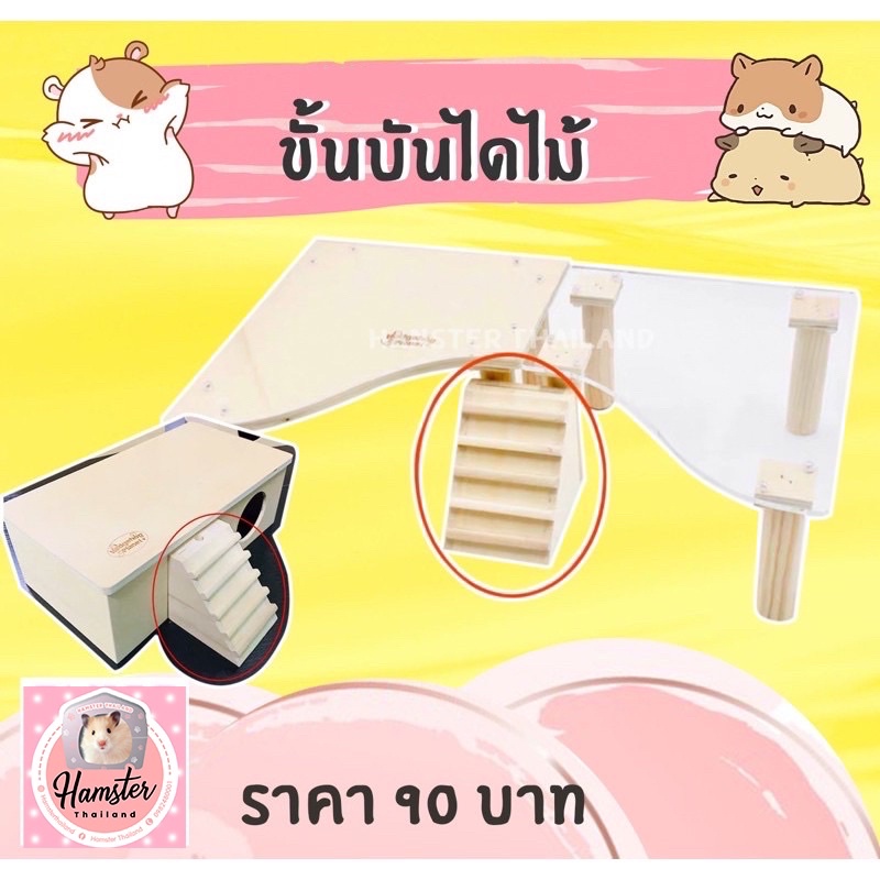 [Hamsterthailand] บันไดสามเหลี่ยม ขั้นบันได ไม้ บันได สำหรับสัตว์เลี้ยง ตกแต่งกรง แฮมสเตอร์ เม่นแคระ