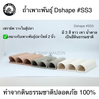 ถ้ำเพาะพันธุ์ Dshape #SS3 / Pleco breeding caves#SS3