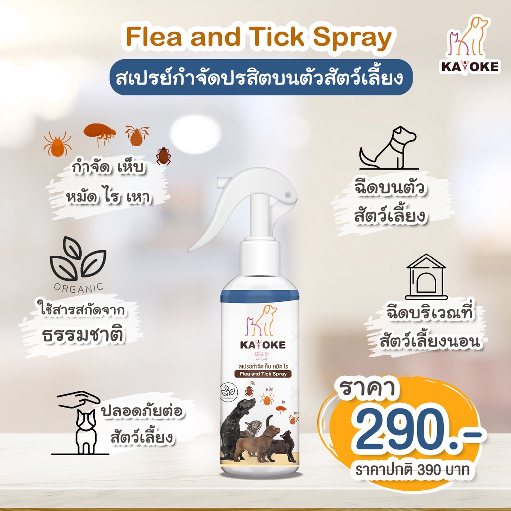 ครบ 1200 มีของแถม 🎉 🐶Kayoke Spray🐱 สเปน์สูตรอ่อนโยนสำหรับสัตว์เลี้ยง - รูปที่ 4