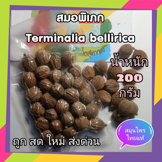 สมอพิเเภก แห้ง สมอภิเภก ส่วนประกอบตรีผลา ขนาด 200 กรัม Terminalia bellirica