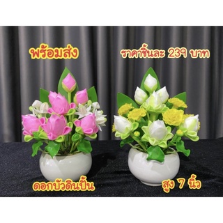 ดอกบัวดินปั้น ดอกบัวประดิษฐ์ ราคาชิ้นละ 239 บาท **มีหลายแบบ**