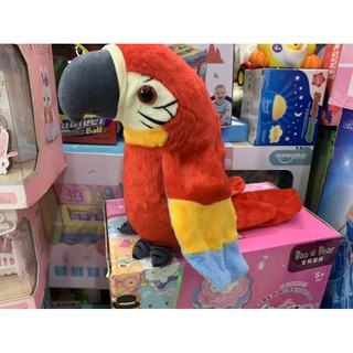 นกแก้ว  Macaw  พูดได้