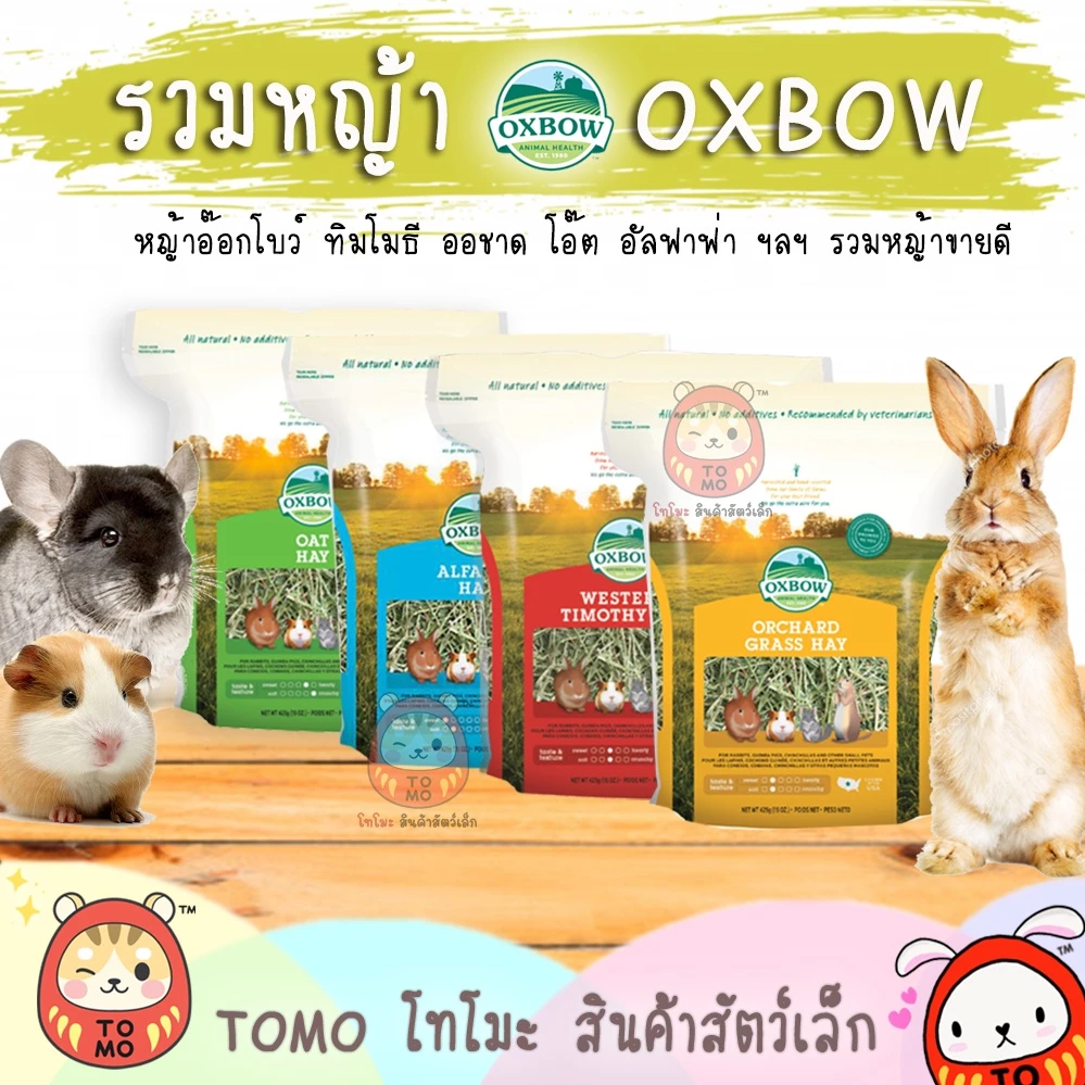 ร้านโทโมะ 💕 หญ้า Oxbow Hay หญ้าแห้ง ทิมโมธี ออชาร์ด อัลฟาฟ่า หญ้ากระต่าย แกสบี้ แพรี่ด๊อก ชินชิลล่า เควี่