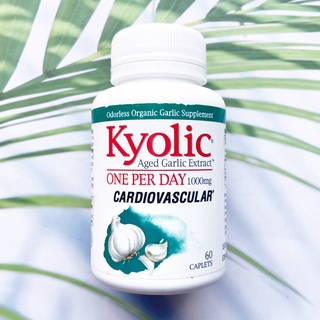 สารสกัดจากกระเทียม ไร้กลิ่น Aged Garlic Extract One Per Day 1000 mg 60 Caplets (Kyolic®) หัวใจและหลอดเลือด