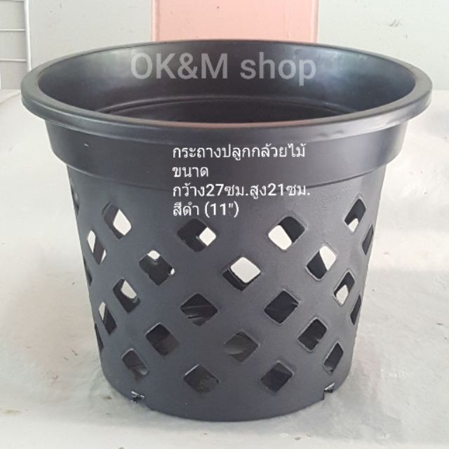 อันดับหนึ่ง 101+ ภาพ วิธี ปลูกกล้วยไม้ในกระถาง พลาสติก สวยมาก