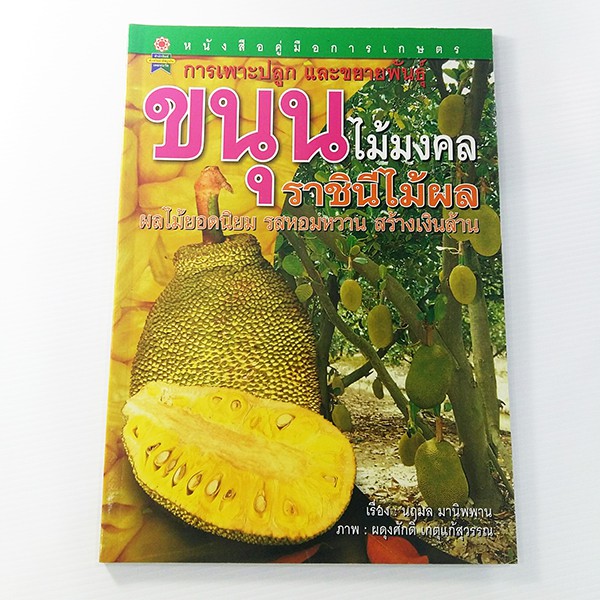 E 031_การเพาะปลูกและขยายพันธุ์ ขนุน