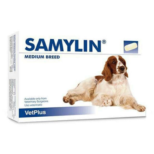 ผลิตภัณฑ์บำรุงตับ Samylin Medium Breed