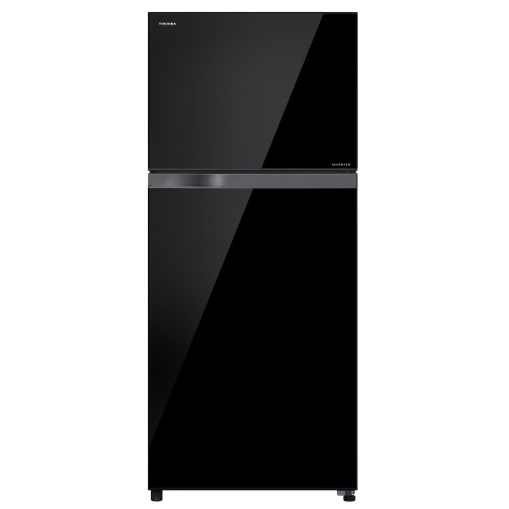 TOSHIBA ตู้เย็น 2 ประตู (14.6 คิว) รุ่น GR-AG46KDZ(XK)