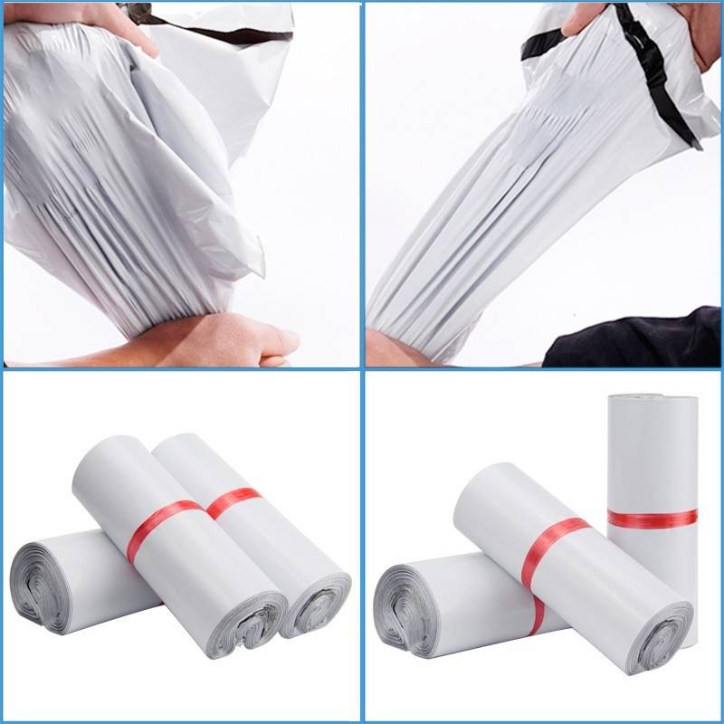 รูปภาพ 5