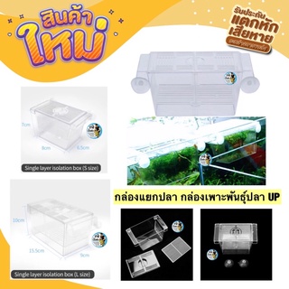 กล่องแยกปลา กล่องฟักไข่ปลา กล่องพักปลา Up Aqua Breeder Box มีสองไซต์ ไซต์S และไซต์L