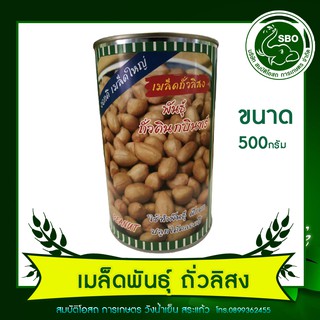 เมล็ดพันธุ์ ถั่วลิสง (ตราปลาทอง) ของแท้100%