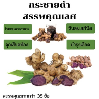 🔥กระชายดำสด 1 กิโลกรัม🔥 เหง้ากระชายดำกระชายดำแคปซูล 
#กระชายดำสะกัด
#กระชายดำผสมโสม
#กระชายดำ ผง สำเร็จรูป#กระชายดำ