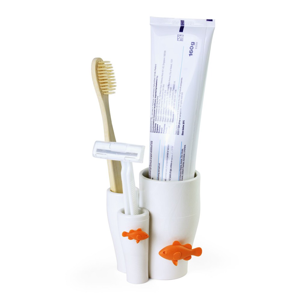 Coral toothbrush holder ที่เก็บแปรงสีฟัน ยาสีฟัน  ที่ใส่ของ ดีไซน์ ปะการัง  Qualy (ควอลี่)