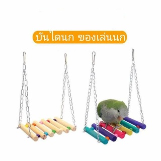 บันไดนก ของเล่นนก อุปกรณ์นก