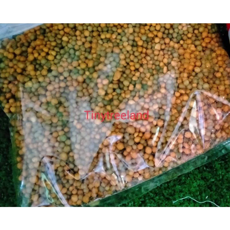 ปุ๋ยละลายช้า 16-16-16