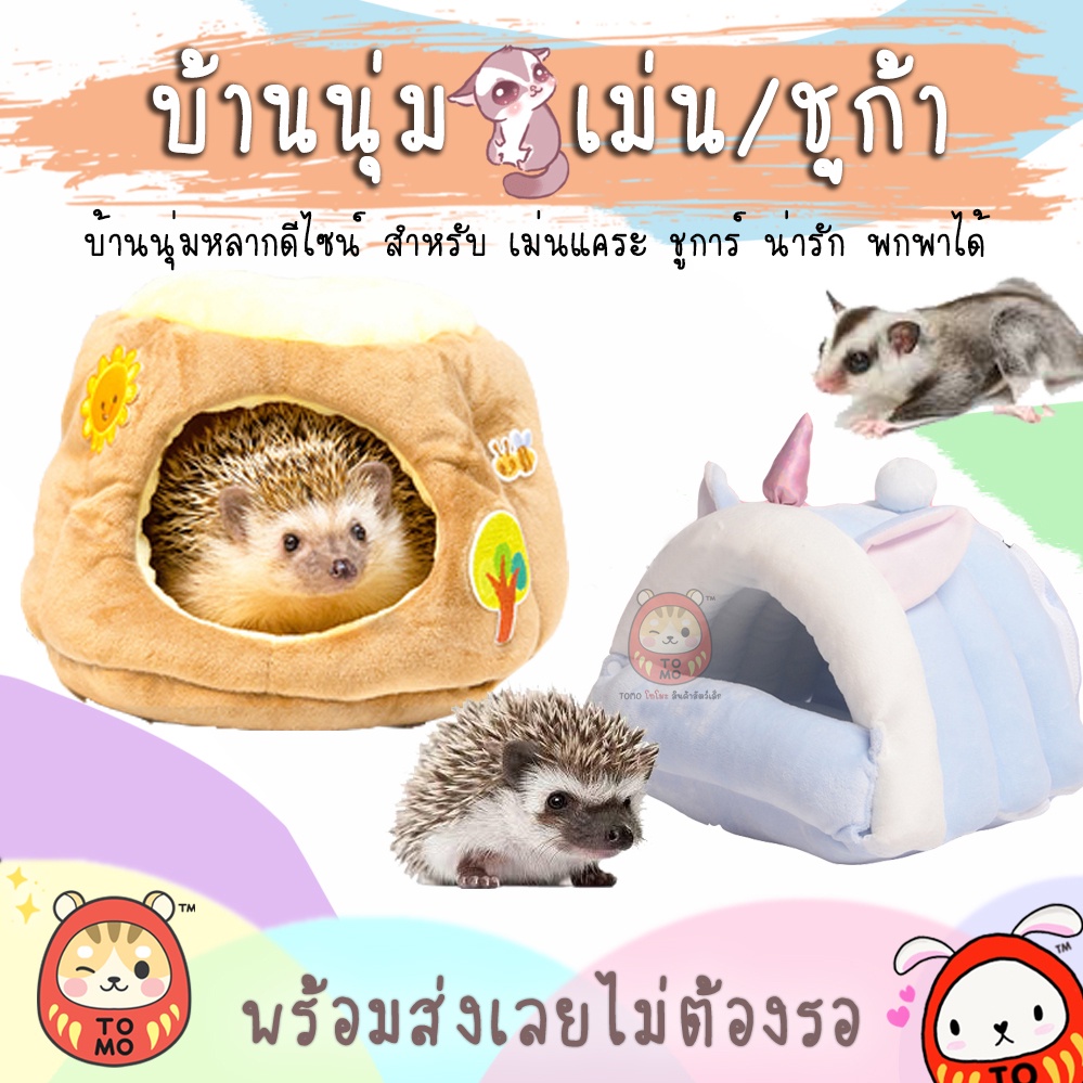 ร้านโทโมะ บ้านนุ่ม เม่นแคระ ชูก้า หลากดีไซน์ น่ารักมากๆ