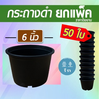 กระถางดำ 6 นิ้ว กระถางราคาส่ง แพ็ค 50 ใบ  / กระถางดำ กระถางต้นไม้ กระถางต้นไม้พลาสติก