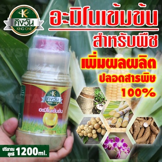 Systano คิงวัน อะมิโนเข้มข้น ปุ๋ยน้ำ ใช้ฉีดพ่นทางใบ ทางดิน ขนาด 1200ml. No. KS138