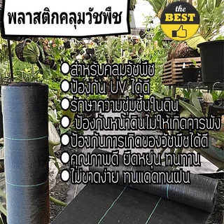 พลาสติกคลุมวัชพืช กว้าง 2เมตร*ยาว50เมตร พลาสติกคลุมหญ้า ผ้าคลุมวัชพืช ผ้าคลุมหญ้า คลุมหญ้า