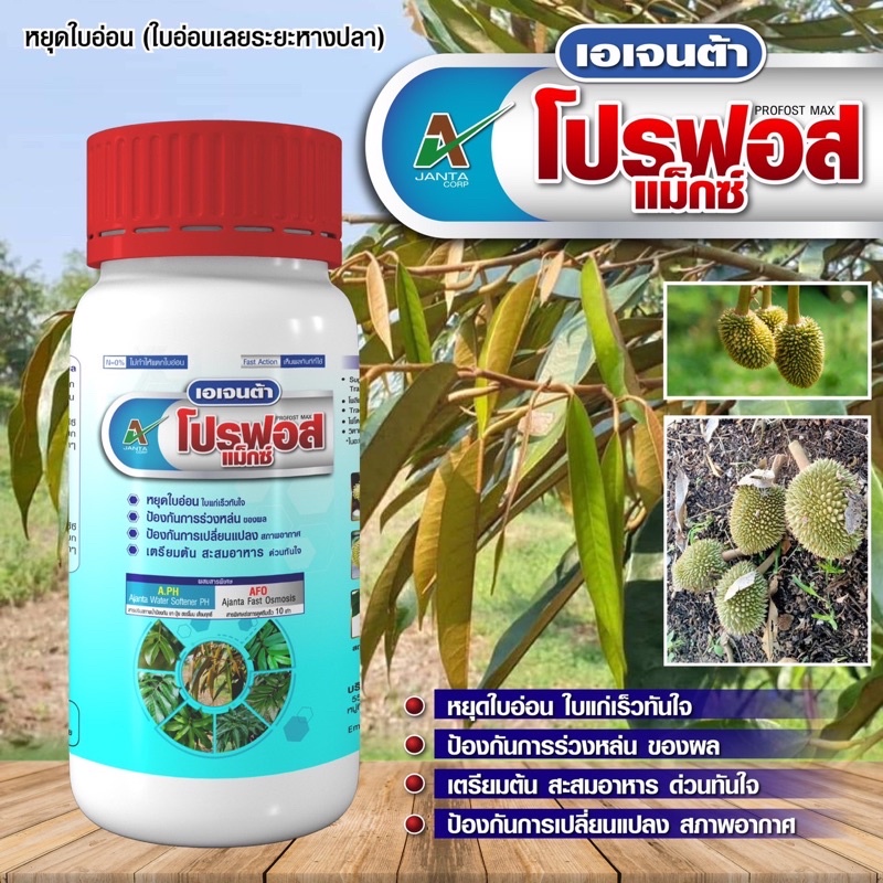 ตัดใบอ่อนอ่อน หยุดใบอ่อน ทุเรียน ระยะเลยหางปลา เอเจนต้า โปรฟอส แม็กซ์ (ขนาด 1 ลิตร)